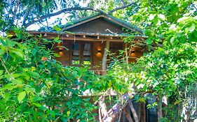 Hotel Dambulla Wilderness World